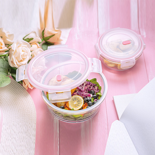 Borosilicate Glass Food Container