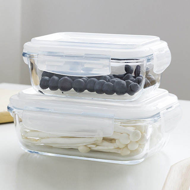 Borosilicate Glass Food Container