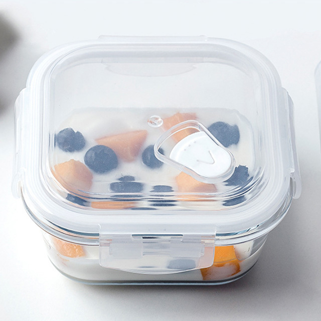 Borosilicate Glass Food Container